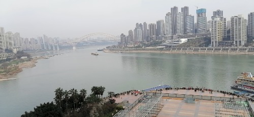 mmexport1613534381925.jpg