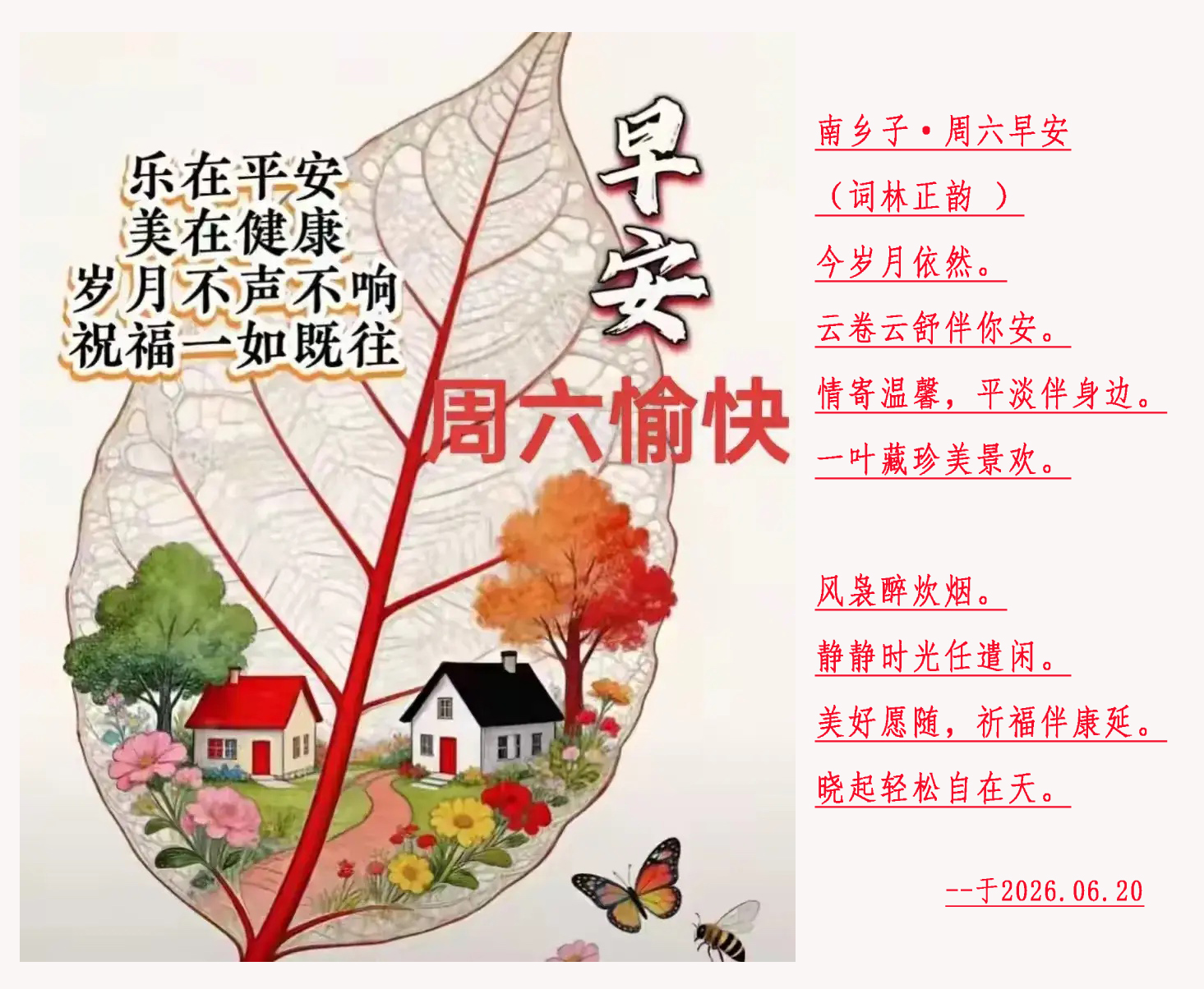 �����簲.jpg